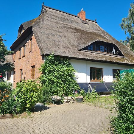 Renovated Apartment In The Old Farmhouse Krusenhagen Eksteriør bilde