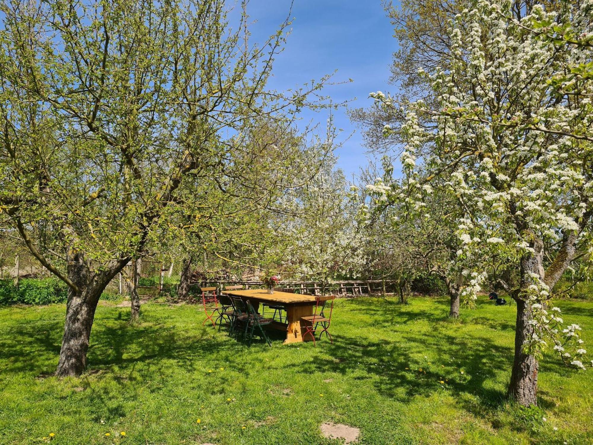 Renovated Apartment In The Old Farmhouse Krusenhagen Eksteriør bilde