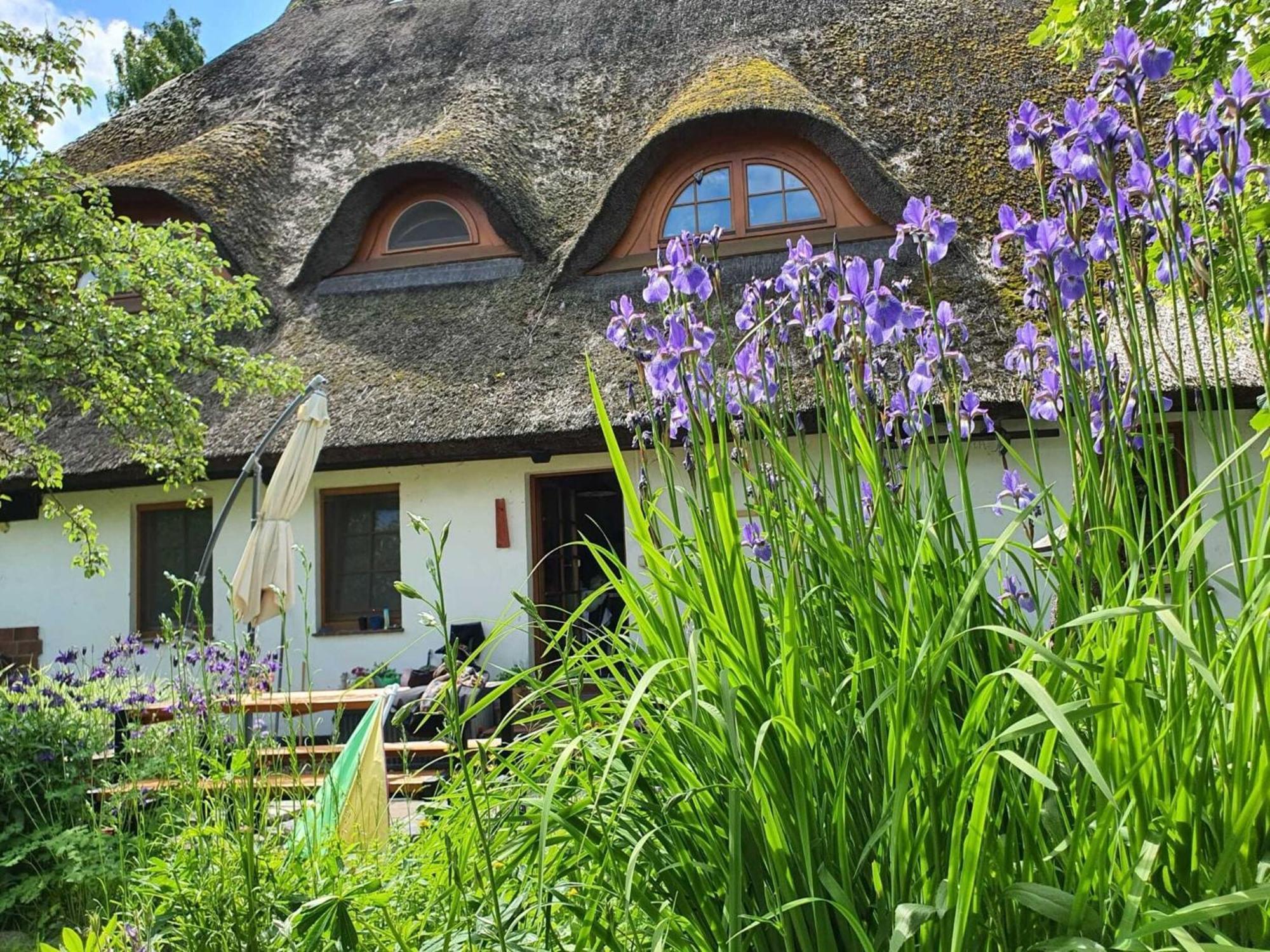 Renovated Apartment In The Old Farmhouse Krusenhagen Eksteriør bilde