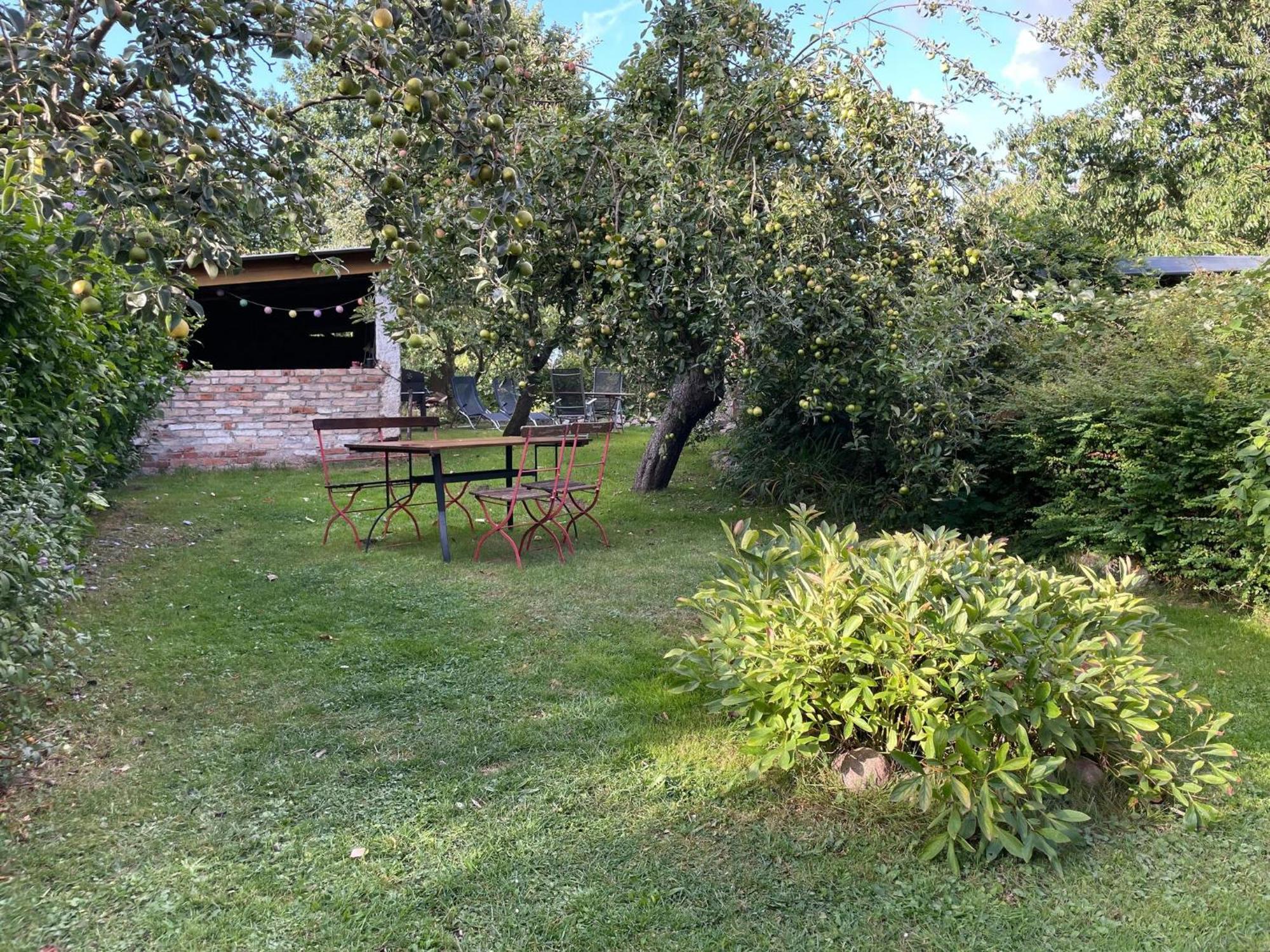 Renovated Apartment In The Old Farmhouse Krusenhagen Eksteriør bilde